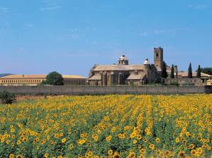 Monasterio de La Oliva_foto