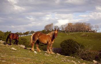 Ruta 24: San Miguel de Aralar_foto