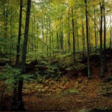 Sierra de Aralar