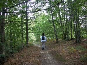 Ruta 25: Sendero de los Dólmenes..._foto